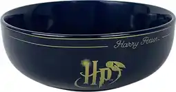 Intratuin Warner Bros kom Harry Potter blauw D 15,8 H 5,7 cm aanbieding