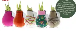 Deka Tuin no water flowers aanbieding