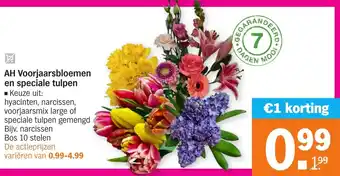 Albert Heijn AH Voorjaarsbloemen en speciale tulpen aanbieding