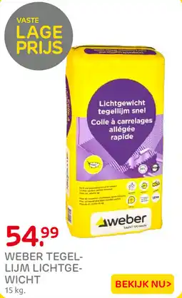 Praxis Weber tegellijm lichtgewicht aanbieding