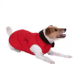 Zooplus 60 cm Ruglengte Hondenjas Gewatteerd Rood aanbieding