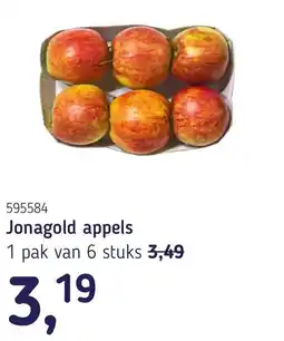 Van Hoeckel Jonagold appels aanbieding