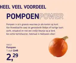 Van Hoeckel Pompoen aanbieding