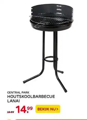 Praxis Central park houtskoolbarbecue lanai aanbieding