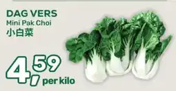 Amazing Oriëntal Mini Pak Choi aanbieding