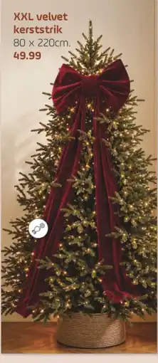 Coppelmans XXL velvet kerststrik aanbieding