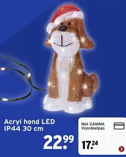 GAMMA Acryl hond LED aanbieding