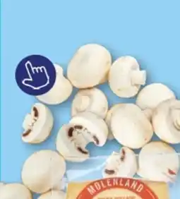 ALDI Molenland champignons aanbieding