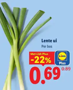 Lidl Lente ui aanbieding