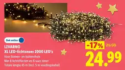 Lidl Livarno XL LED-lichtsnoer 2000 LED's aanbieding