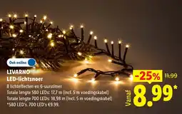 Lidl Livarno LED-lichtsnoer aanbieding