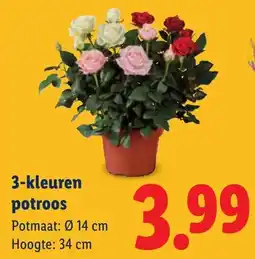 Lidl 3-kleuren potroos aanbieding