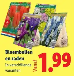 Lidl Bloembollen en zaden aanbieding