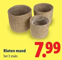 Lidl Rieten mand aanbieding