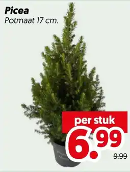 Dekamarkt Picea aanbieding