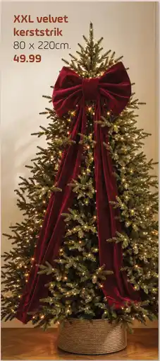 Coppelmans XXL velvet kerststrik aanbieding