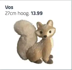 Coppelmans Vos aanbieding