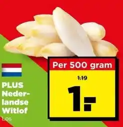 PLUS Plus nederlandse witlof aanbieding