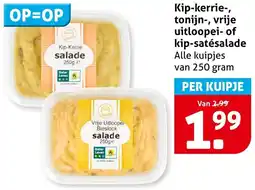 Hoogvliet Alle Kip-kerrie tonijn vrije uitloopei of kip satésalade aanbieding