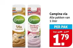 Hoogvliet Alle Campina vla aanbieding