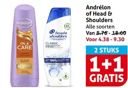 Hoogvliet Andrélon of Head & Shoulders aanbieding