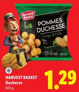 Lidl Harvest Basket Duchesse aanbieding