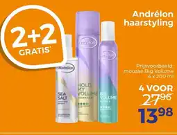 Trekpleister Andrélon haarstyling aanbieding
