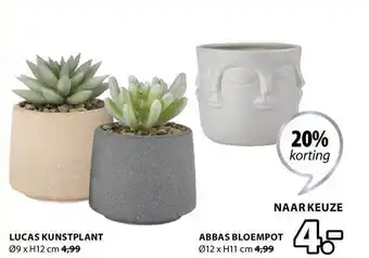 Jysk Lucas kunstplant of abbas bloempot aanbieding