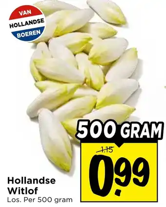 Hollandse Witlof