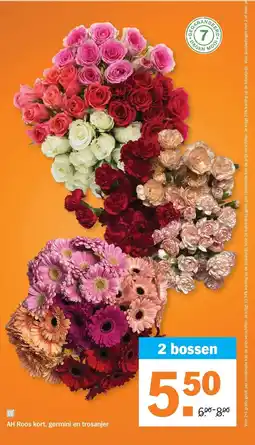 Albert Heijn AH Roos kort germini en trosanjer aanbieding