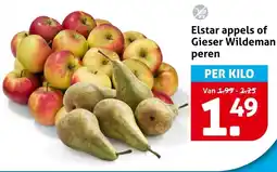 Hoogvliet Elstar appels of gieser wildeman peren aanbieding