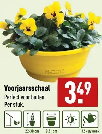 ALDI Voorjaarsschaal aanbieding