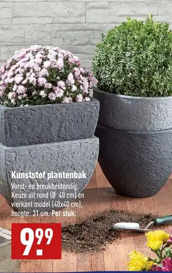 ALDI Kunststof plantenbak 31cm aanbieding