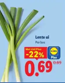 Lidl Lente ui aanbieding