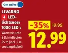 Lidl LIVARNO 4 LED- lichtsnoer 1000 LED's aanbieding