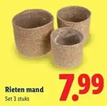 Lidl Rieten mand aanbieding