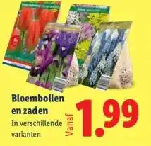 Lidl Bloembollen en zaden aanbieding