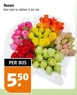 Poiesz Rozen aanbieding