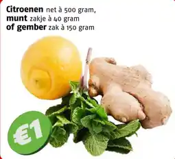Poiesz Citroenen, munt of gember aanbieding