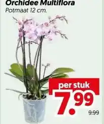 Dekamarkt Orchidee Multiflora aanbieding