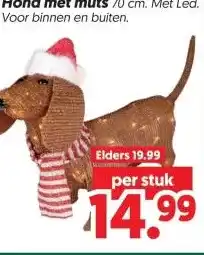 Dekamarkt Hond met muts aanbieding