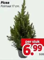 Dekamarkt Picea aanbieding