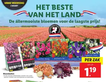 Lidl Bloembollen In de varianten bloembollen aanbieding