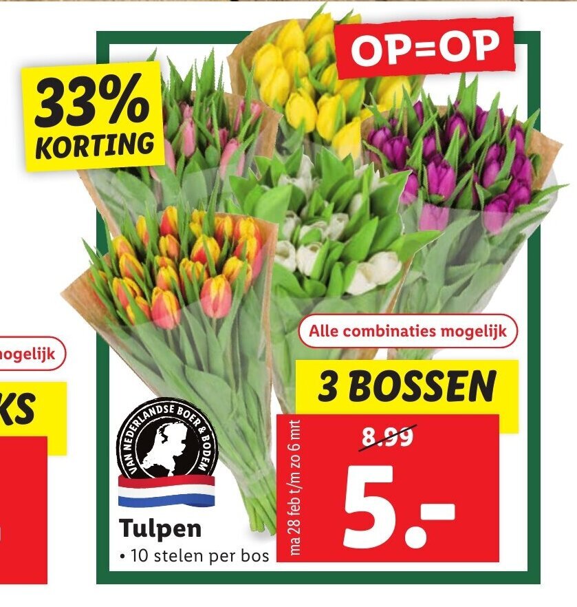 47+ Tulpen Kaufen Lidl, Ein filialleiter erklärt, wie man die