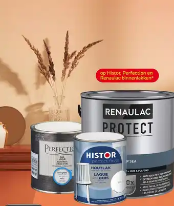 Praxis Histor, Perfection en Renaulac binnenlakken aanbieding