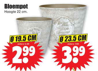 Dirk Bloempot aanbieding