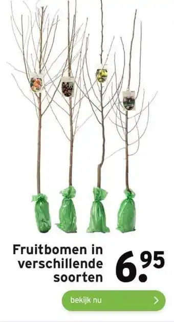 GAMMA Fruitbomen in verschillende soorten aanbieding
