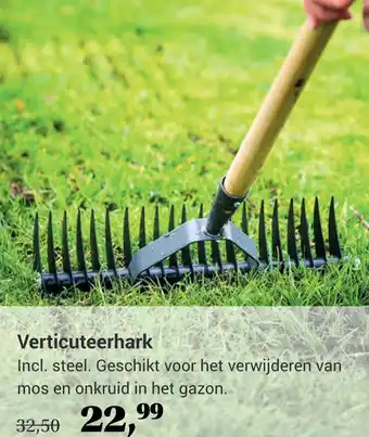 TuinWereld Verticuteerhark aanbieding