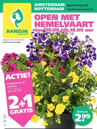 Ranzijn Calibrachoa of petunia 2+1 Gratis aanbieding