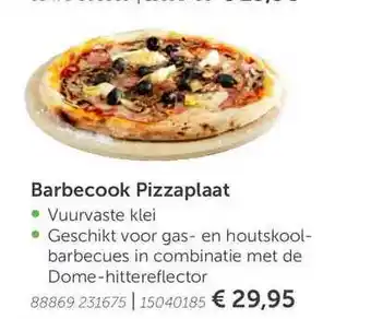 Aveve Barbecook pizzaplaat aanbieding